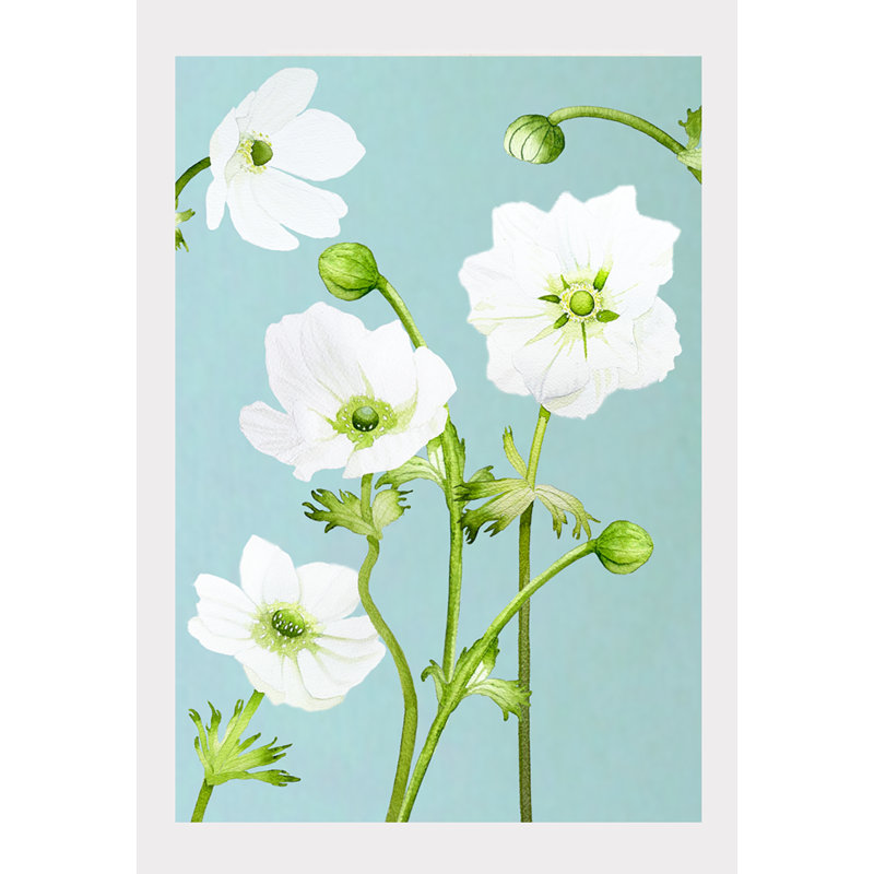 Plants & Flowers, 19" H x 13" W