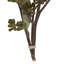 Amber Fruit Foliage Plant