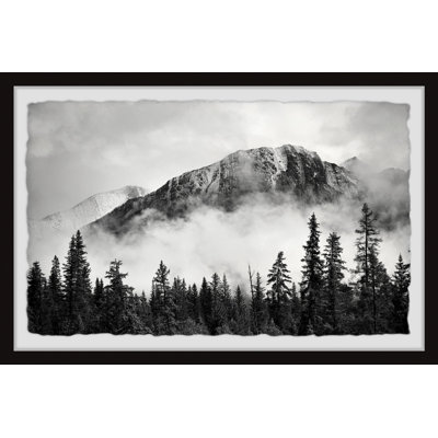 «Forest On Fog», reproduction encadrée
