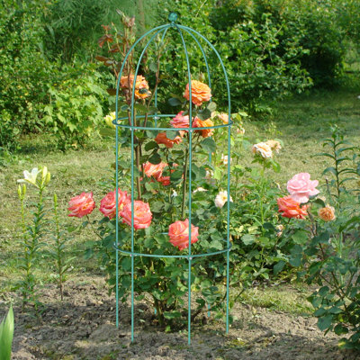 Grow By Plant Support