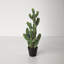 31'' Faux Succulent in Pot
