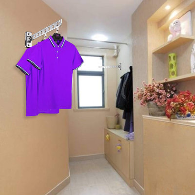 Frisina 32cm Wall Mounted Clothes Rack