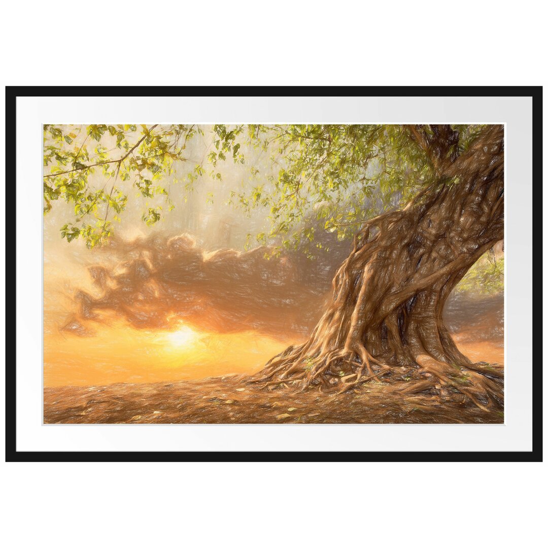 Uralter Baum Gerahmter Fotokunstdruck Poster