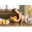 Deco Figurine Hungry Hippo 27cm