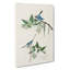 Blue & Grey Flycatcher Birds by John James Audubon - Wrapped Canvas-55370391