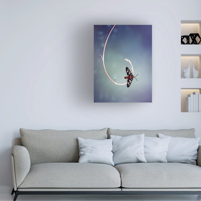 Bolog Fauzan Maududdin Hooked Canvas Art