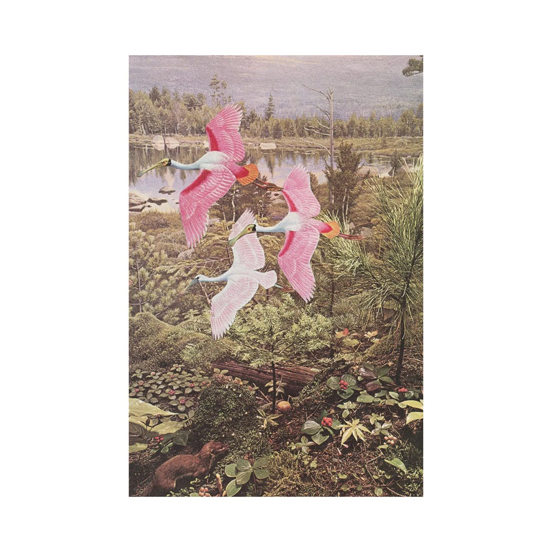 Flight Of The Spoonbills by Cassia Beck - Wrapped Canvas Painting, 20.32 cm H x 30.48 cm W