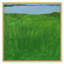 Pea Island Marsh Print by Leslie Snipes-848844812-848844811-848844808