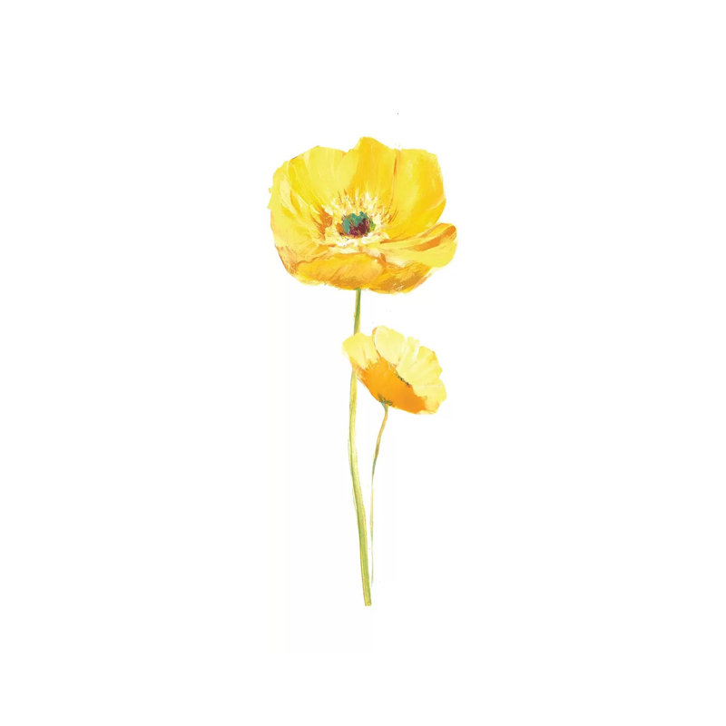 Poppy Pop III by Nan - Wrapped Canvas Gallery-Wrapped Canvas Giclée, 30.48 cm H x 91.44 cm W x 1.91 cm D