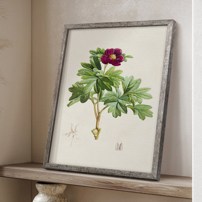 Pretty Pink Botanicals III Framed Print - Solid Wood