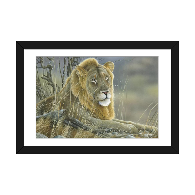 « lion », impression sur toile, Papier d'art encadré noir, Blanc, H 16 po x l 24 po x P 1 po