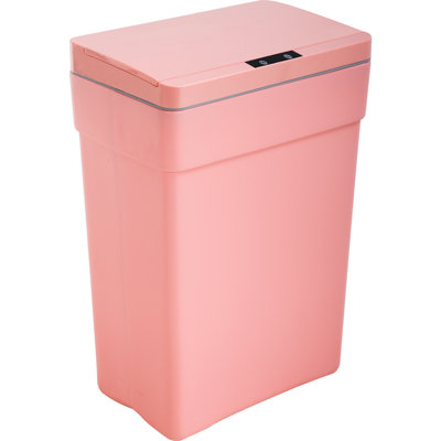 Poubelle en plastique 13 gallons
