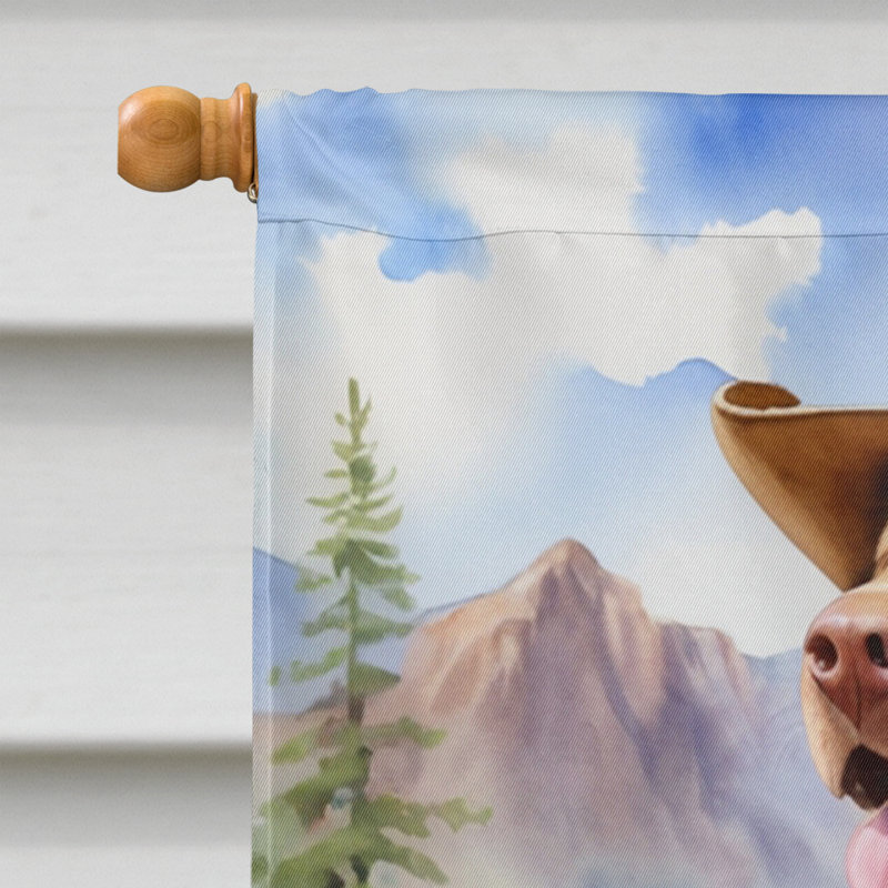 Drapeau Cowboy Welcome House, Retriever de la Baie de Chesapeake