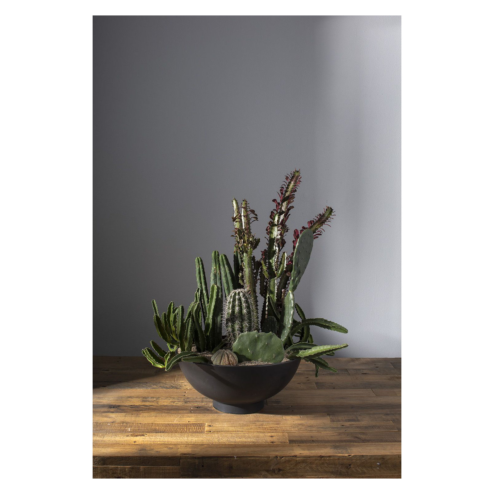 Allie Handmade Ceramic Pot Planter, 7.75'' H x 16.5'' W x 16.5'' D