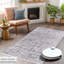 Non Slip Area Rug Low Pile Bedroom Rugs Machine Washable Floor Mat Living Room Carpet - NT0201-1976794522