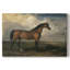 Portrait d'un cheval bai - James Ward-Gallery, toile tendue-c. début du 19e siècle-389631050