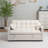 Sleeper Sofa Bed