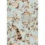 Oiseaux Et Fleurs Fabric-22437092