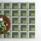 Kamran Rectangle Geometric Machine Woven Polypropylene Indoor / Outdoor Area Rug in Green/Gray