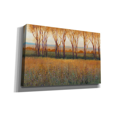 'Glow in the Afternoon II' by Tim O'Toole, Canvas Wall Art