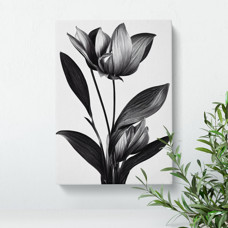 Monochrome Flower - Wrapped Canvas Print, 60cm H x 40cm W x 3cm D