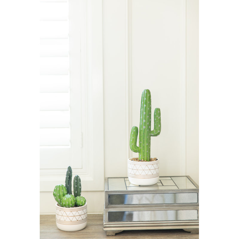 Succulent en pot