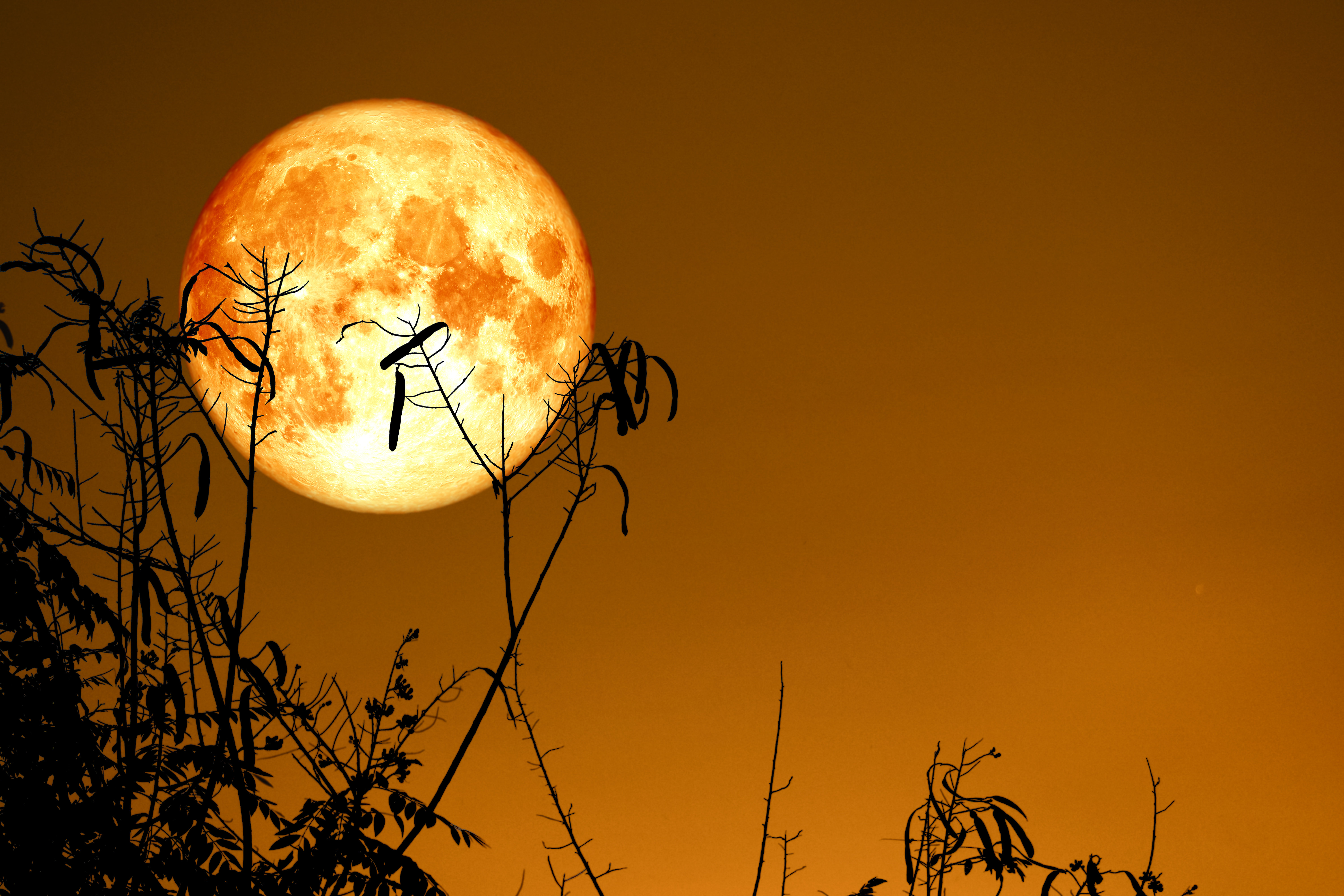 17 Stories Full Moon Back by Chayanan - Wrapped Canvas Photograph ...