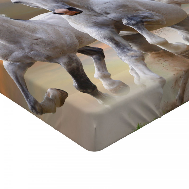 Microfiber Jersey Knit Fitted Sheet, European Kingsize (160 x 200cm)