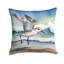 Coussin Sanderling-112679682