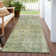 Machine Washable Indoor/Outdoor Claudian ACN1237 Sage Rug