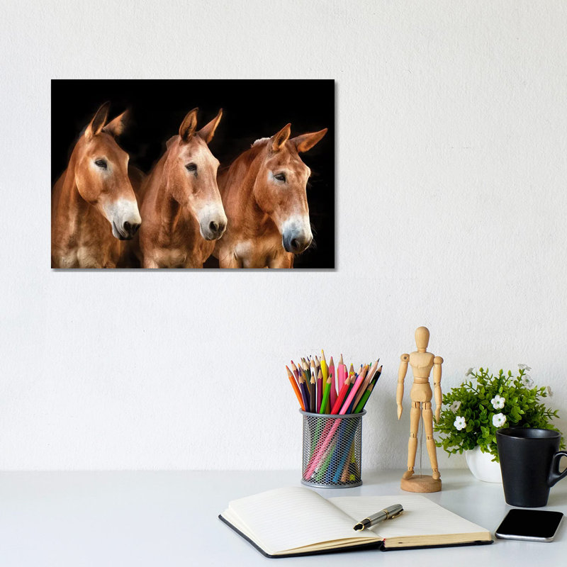 Collection Of Horses IV by PHBurchett - Wrapped Canvas Painting, 20.32 cm H x 30.48 cm W