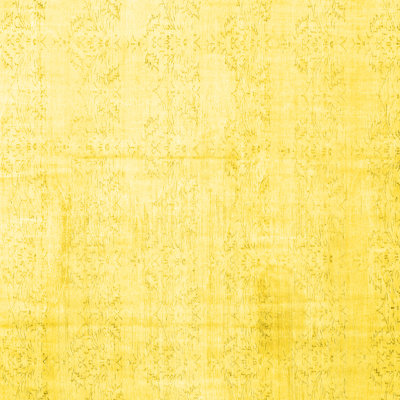 Irmgard Performance Indoor Rug
