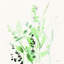 «Grasses II on Linen» par Katrina Pete - reproduction-1640155701-1673226169