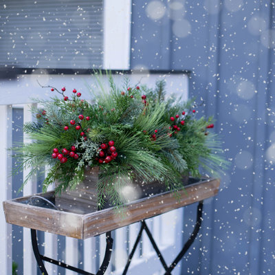 Arrangements floraux en pot