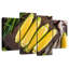 Harnek Corn Cobs