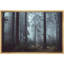 Nature, paysage, pin, forêt, brume-93629427-93629428