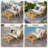 Ali loveseat with coffee table