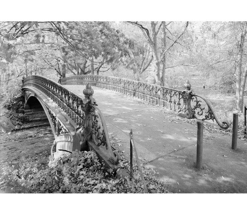 Pont Cetral Park, New York, H 13 po x l 18 po