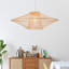 Hildale 1 - Light Novelty Pendant