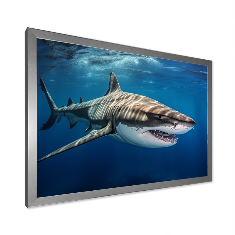 «Tiger Shark Territory I» sur toile, Cadre simple argenté, H 30 po x l 40 po x P 1,5 po