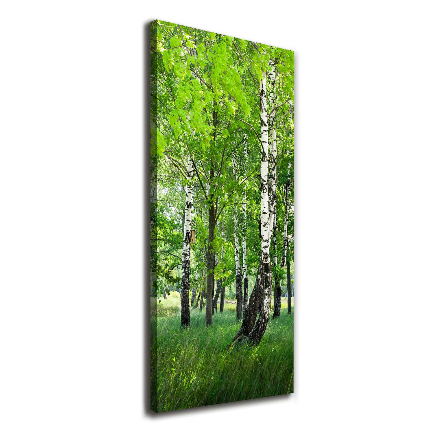 Union Rustic Birch Forest - Wrapped Canvas Art Prints | Wayfair.co.uk