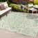 Truman Bohemian Medallion Textured Weave Green/Cream Indoor/Outdoor Rug
