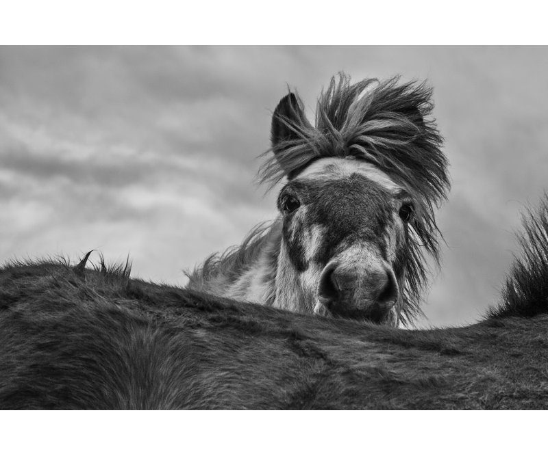 Wrapped Canvas Print, 91.44 cm H x 60.96 cm W