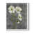 White Single Picture Framed