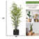 Panama 72'' Faux Bamboo Tree in Fiberstone Planter