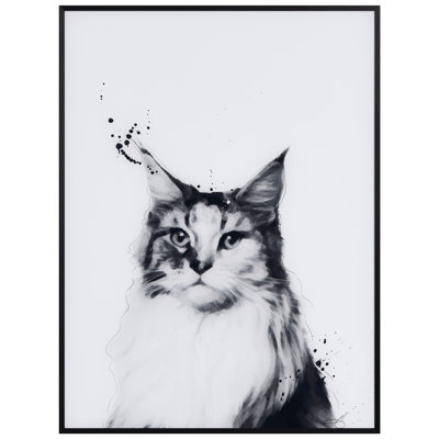 Chat sibérien - impression d'un cadre photo sur verre