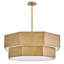 Hinkley Facet Convertible Chandelier-1811715934