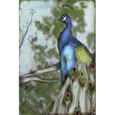 Peacock Reflections I
