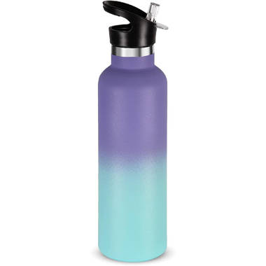 https://assets.wfcdn.com/im/57241106/resize-h380-w380%5Ecompr-r70/2156/215632110/Orchids+Aquae+24oz.+Insulated+Stainless+Steel+Water+Bottle+Straw.jpg
