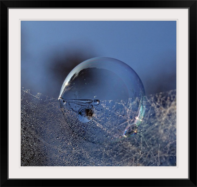 «Straub 'Bubble Morning» par Kent Mathiesen, reproduction de photo, H 30 po x l 30 po x P 1,25 po, Toile